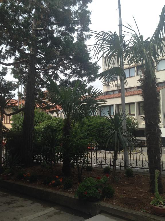 Villa Ana 茨里克韦尼察 外观 照片